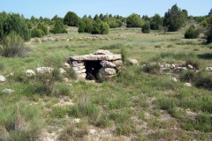 el pozuelo