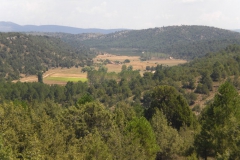 la vega con los rentos al fondo