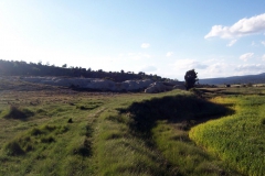 las piedras blancas