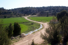 los tornajos en primavera 2