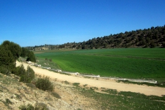 los tornajos en primavera